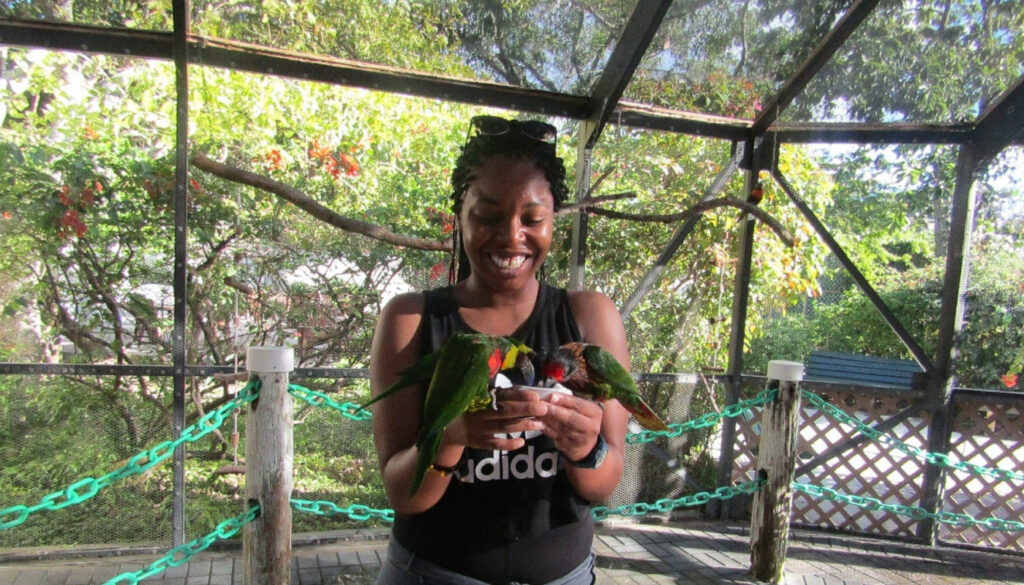 Working Tourist: photo of healthcare professional, Rachel Jonesm feeding two small parrots.