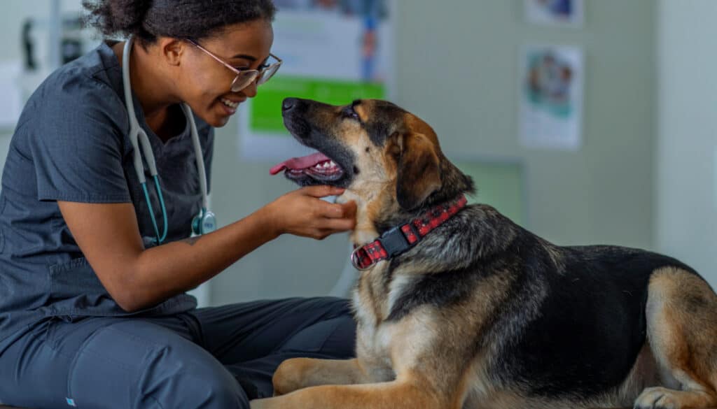Image of woman nurse petting dog under it chin while smiling