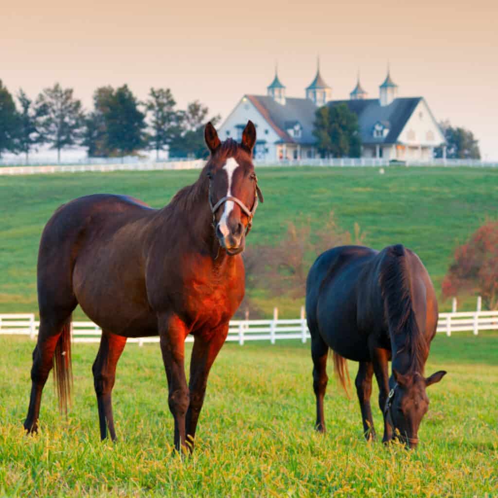 travel nursing in Kentucky
