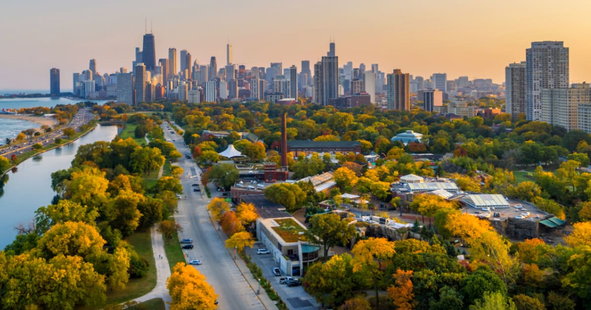 The chicago skyline at sunset.