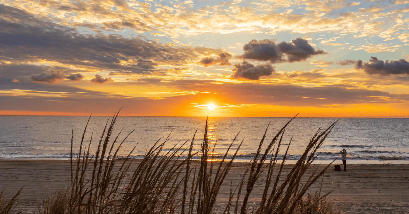 The sun is setting over a beach with tall grasses.