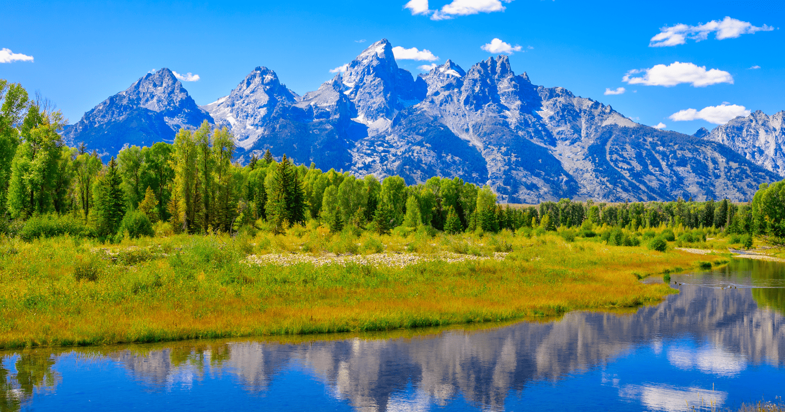 The grand teton mountains are reflected in a river.