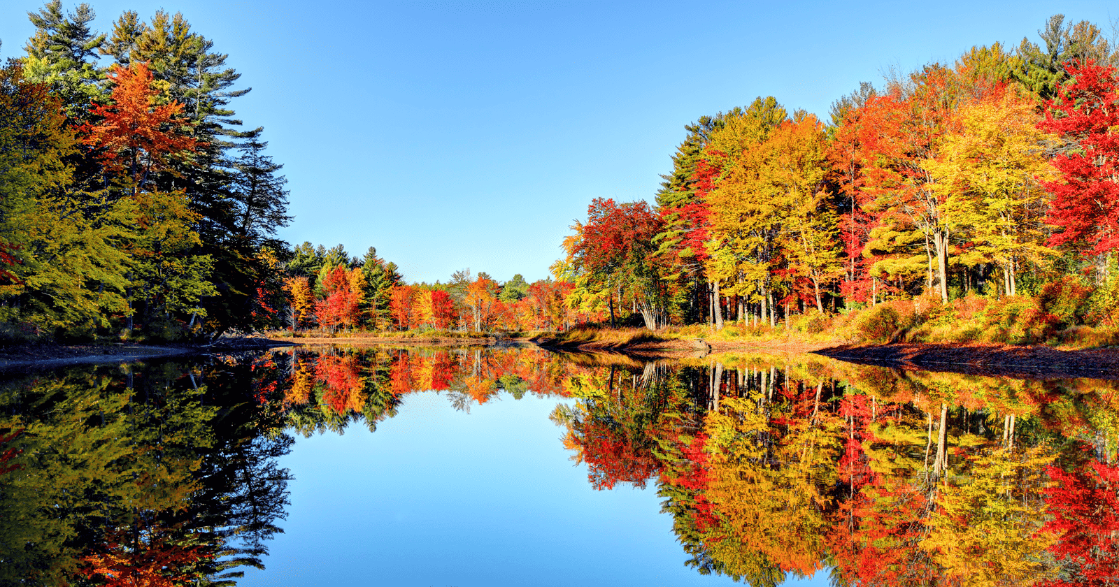 A lake surrounded by colorful trees.