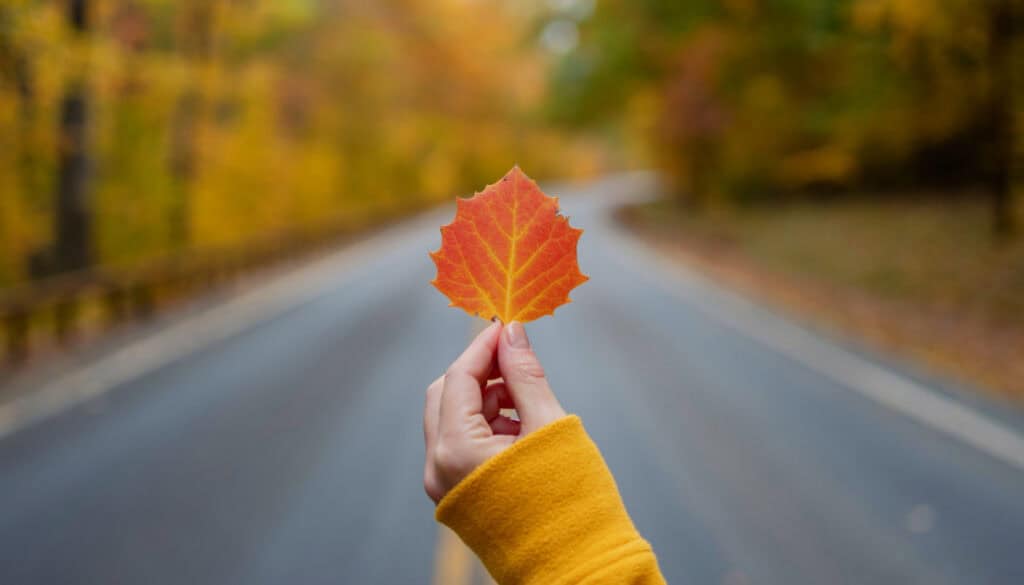 A hand in a yellow sleeve holds an orange autumn leaf in the foreground with a blurred tree-lined road in the background.